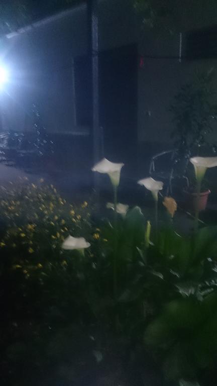 Camping Late Гирокастра Экстерьер фото